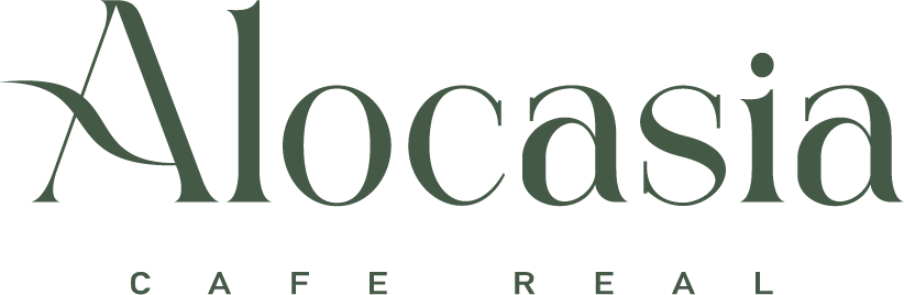 Alocasia Café